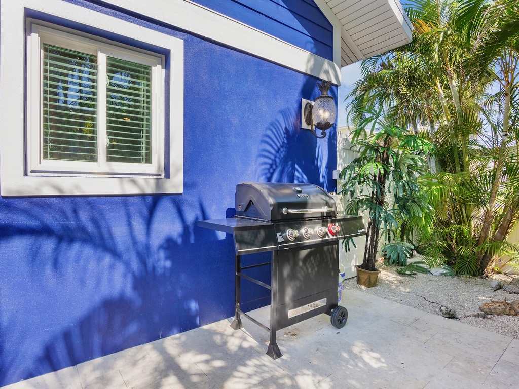 BBQ grill for outdoor cooking