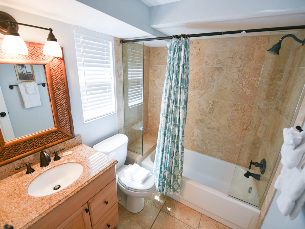 Guest bath with tub shower