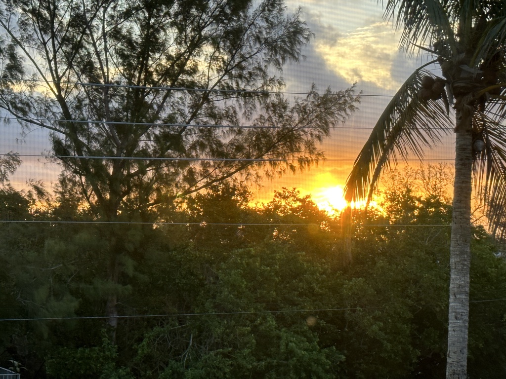 Sunset
