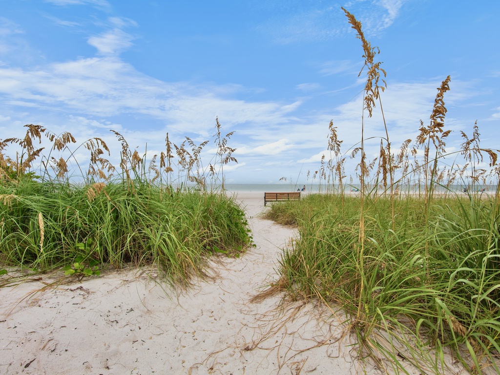 Path to Beach