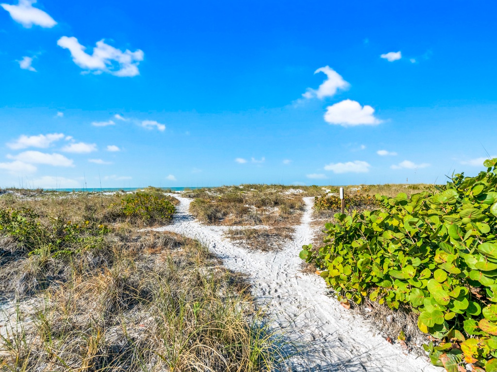 Path to Beach