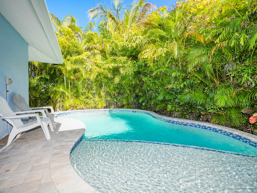 Pool with Sun Shelf
