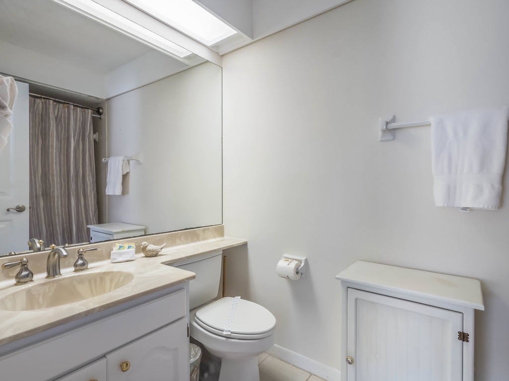 Ensuite Primary Bathroom