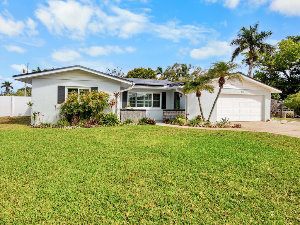 Mermaid Dreams by AMI Locals