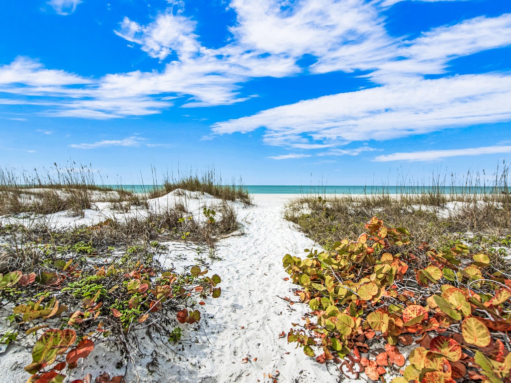 Walk to Beach