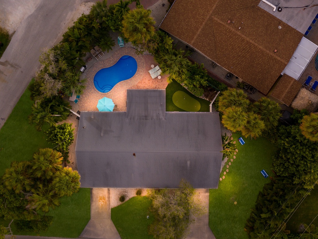 Sea Turtle - By Anna Maria Island Accommodations