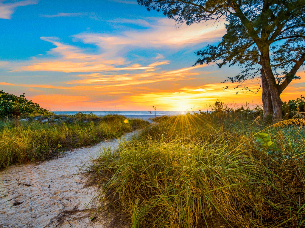 Enjoy breathtaking views of the beach