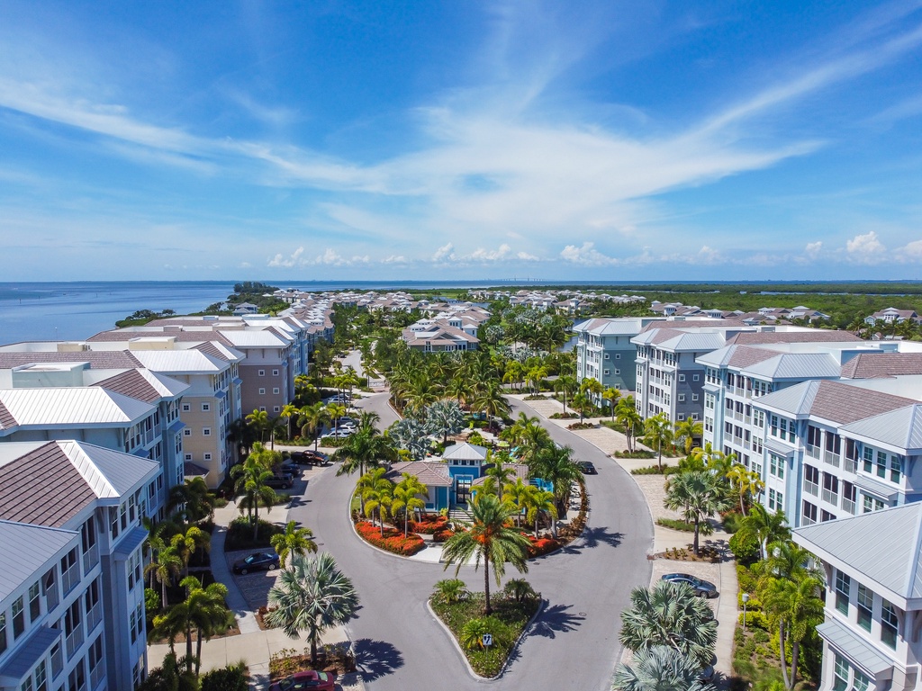 Feelin' Tip Sea- AMI Locals