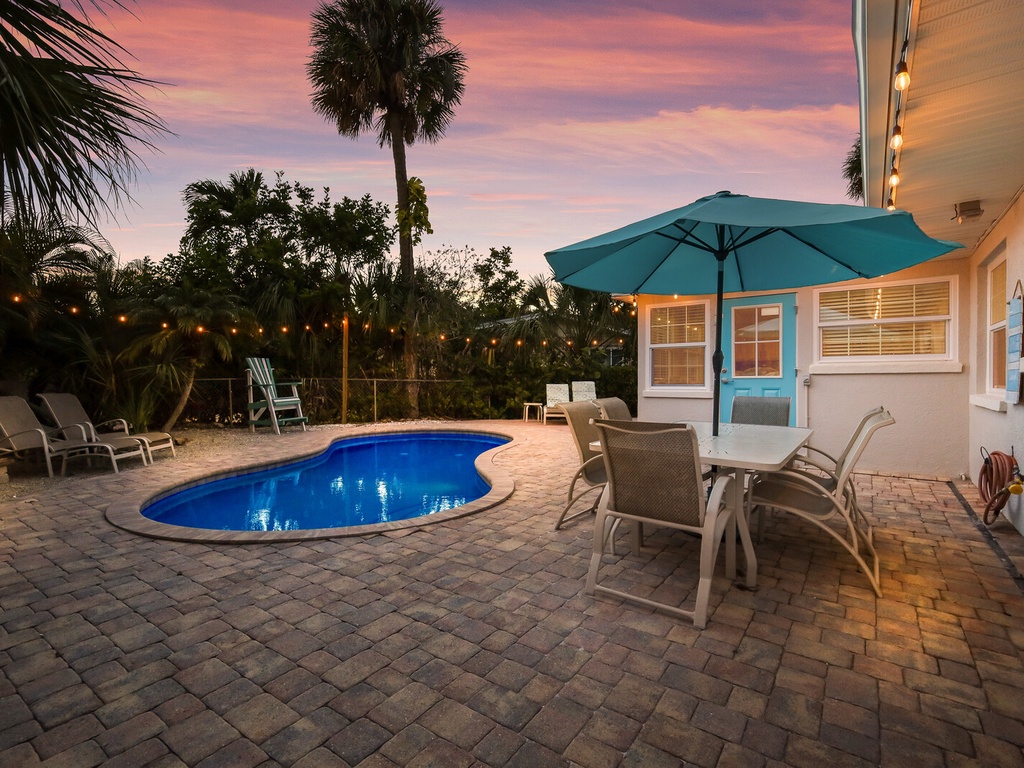 Sea Turtle - By Anna Maria Island Accommodations