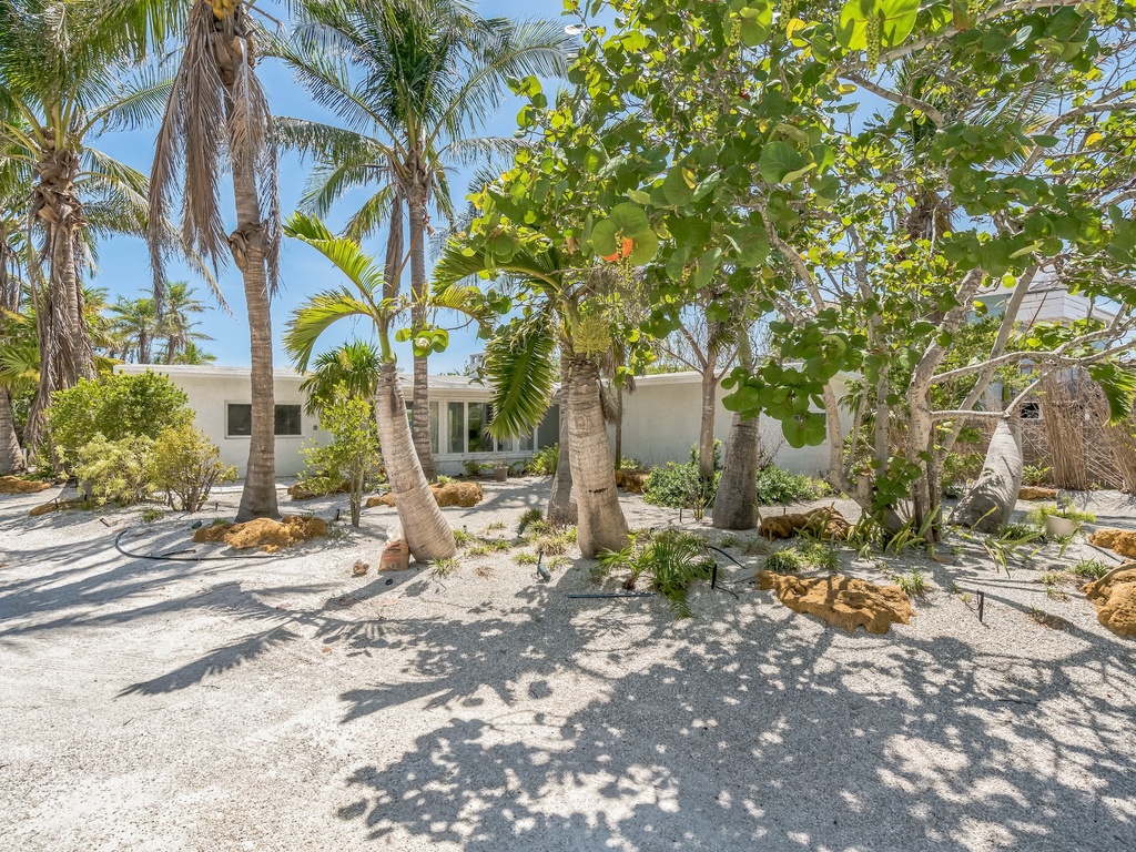 Palms and Greenery Everywhere