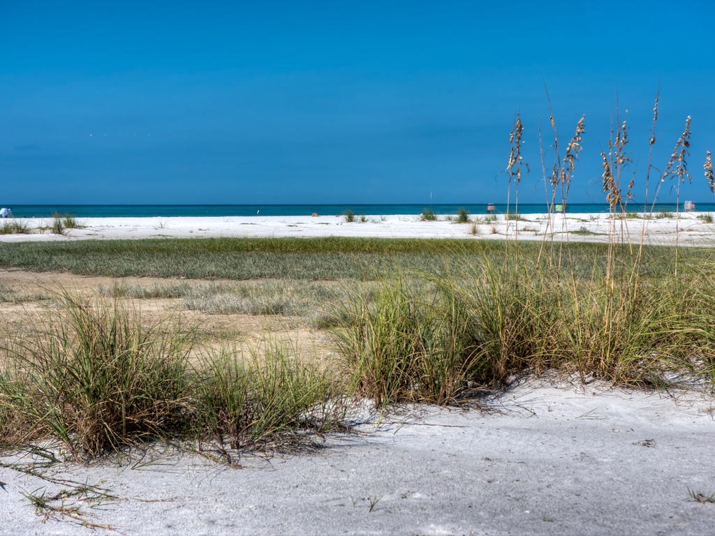 Gulf Views from Shells and Sunshine