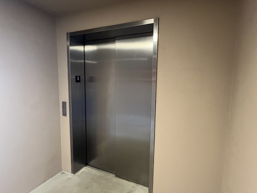 Feelin' Tip Sea- AMI Locals