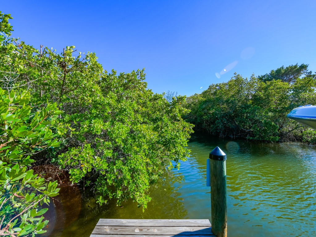 Waterfront Dock and Nature