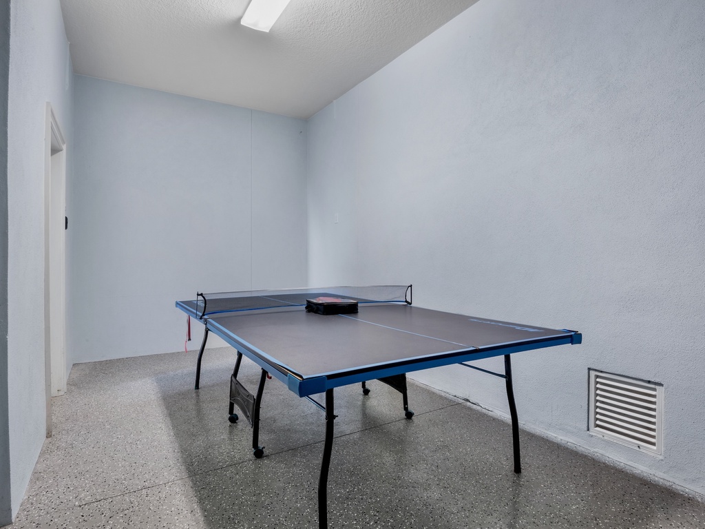 Ping Pong Table