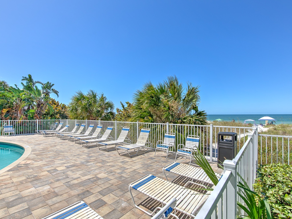 Beachfront pool deck with tropical palms and ocean views creates the perfect seaside retreat backdrop.