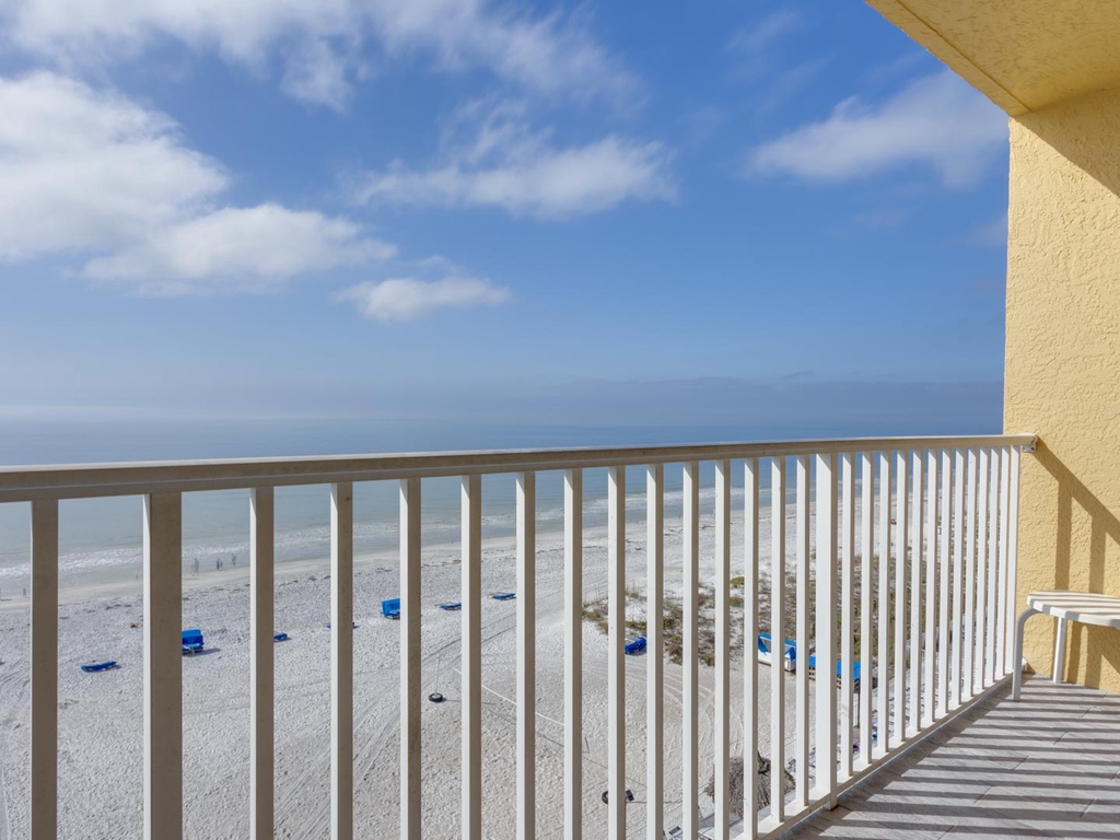 Sand Dollar 506