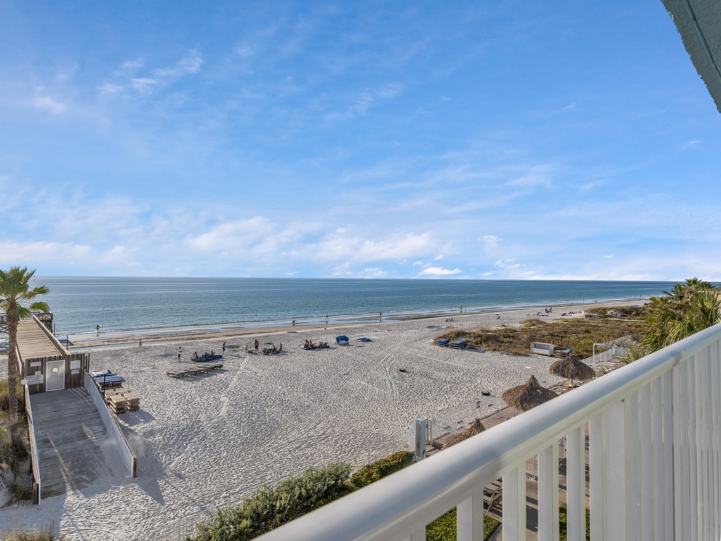 Sand Dollar 304