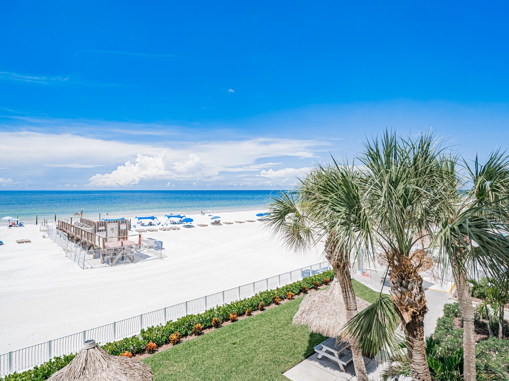 Sand Dollar 203