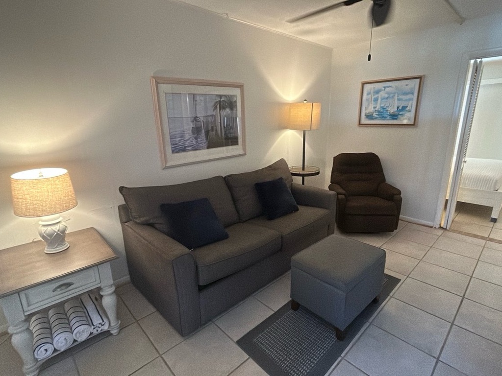 Cozy living room with plush seating