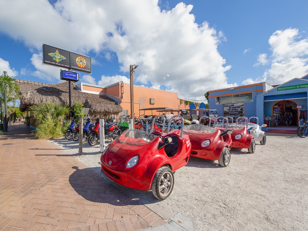 Rental of carts, bicycles, beach accessories