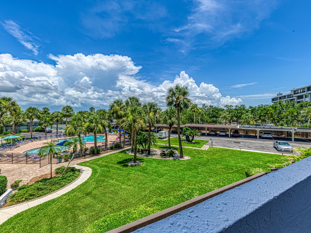 Tropical Views