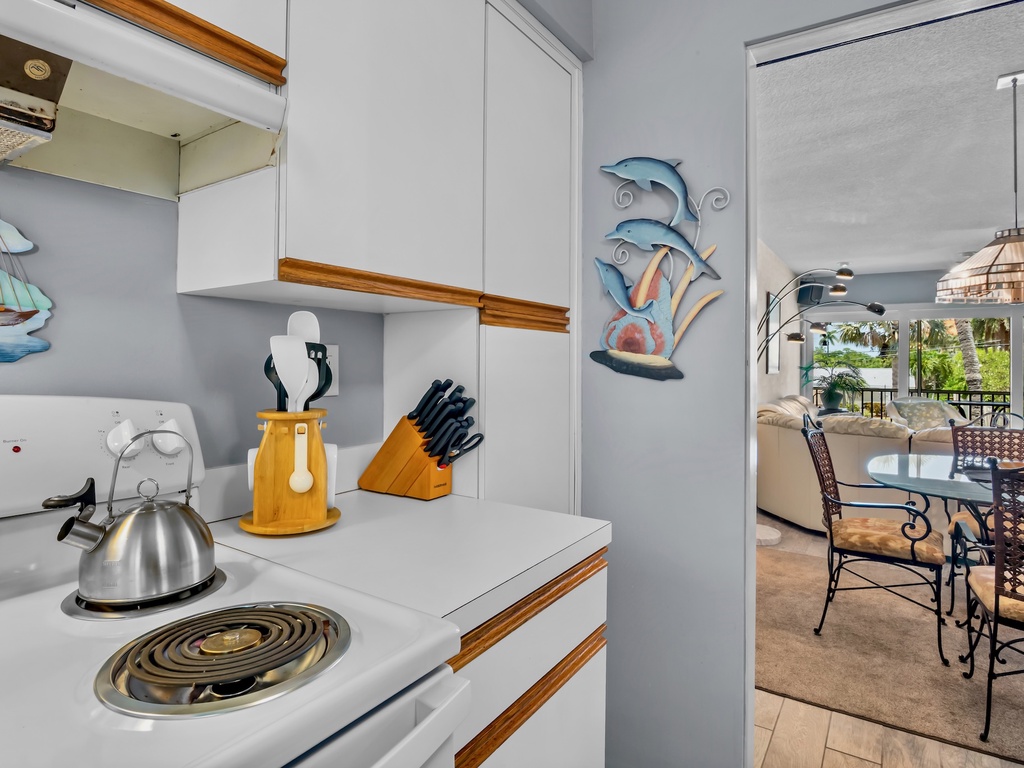 Open Living Area and Kitchen