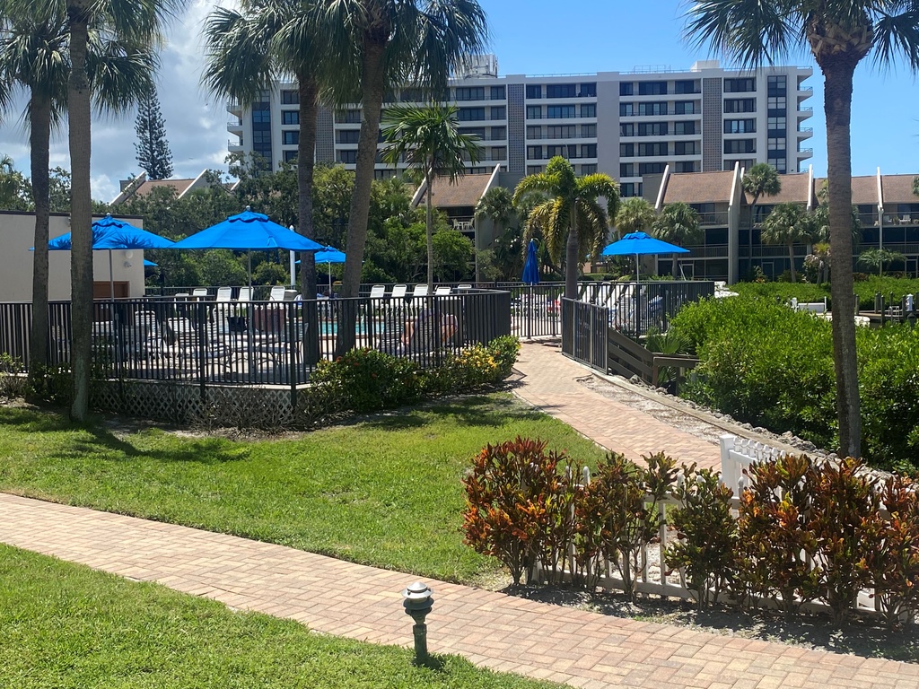 Midnight Cove II 613F