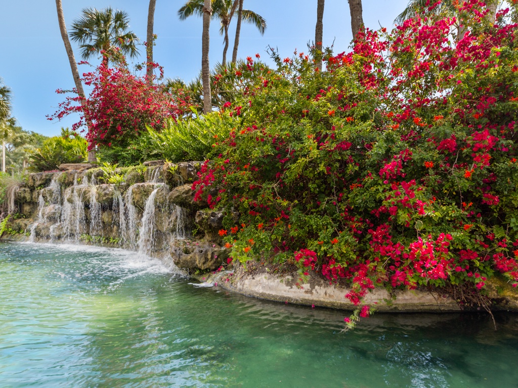 Tropical paradise features cascading waterfalls, vibrant bougainvillea, and crystal-clear lagoon waters surrounded by swaying palms.