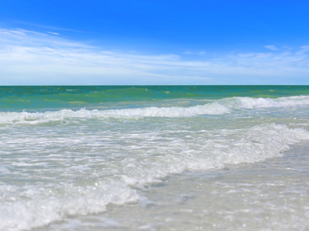 The Shaded Sanctuary - Siesta Key Luxury Rental Properties