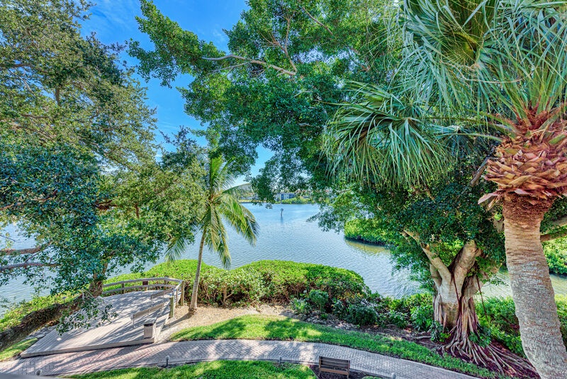 Midnight Cove II 220D