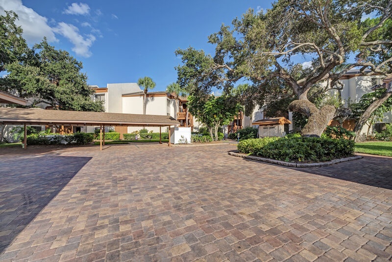 Midnight Cove II 220D