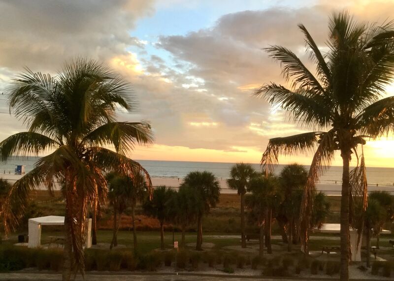 Across the street from Siesta Key Beach