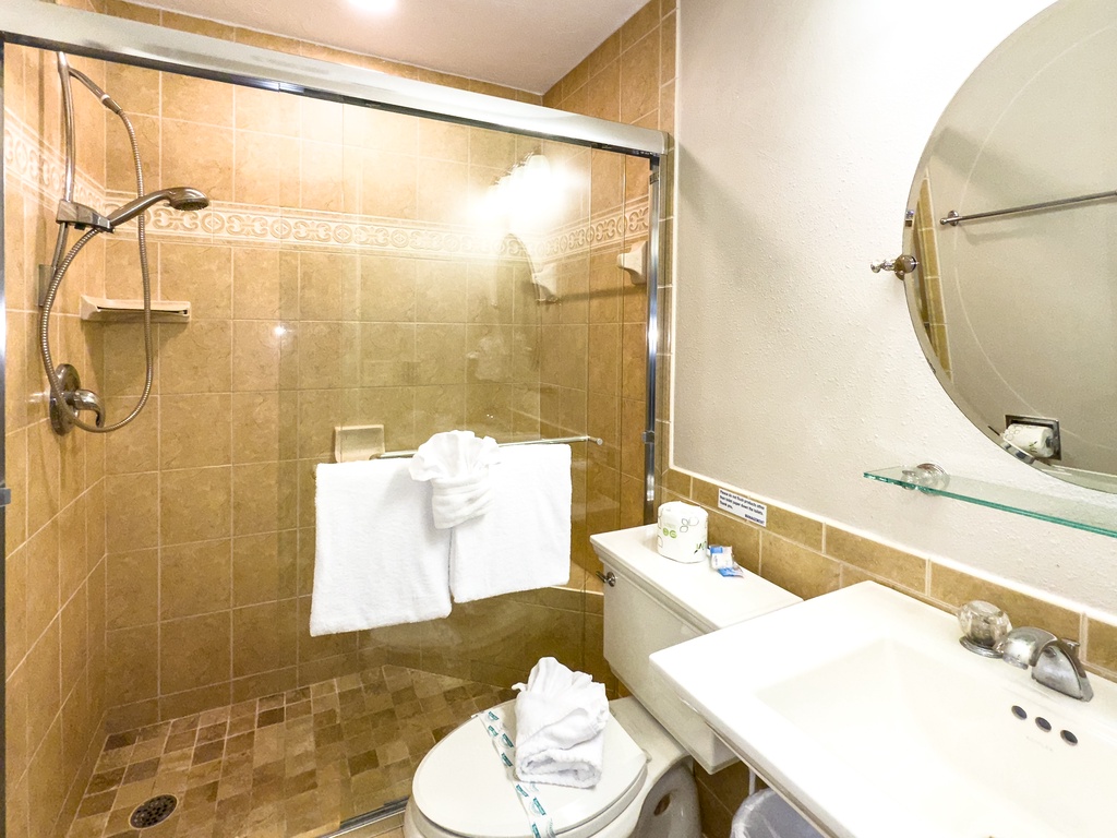 301 guest bath 1