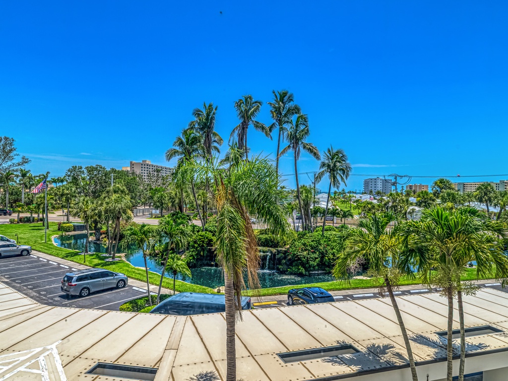 Tropical View
