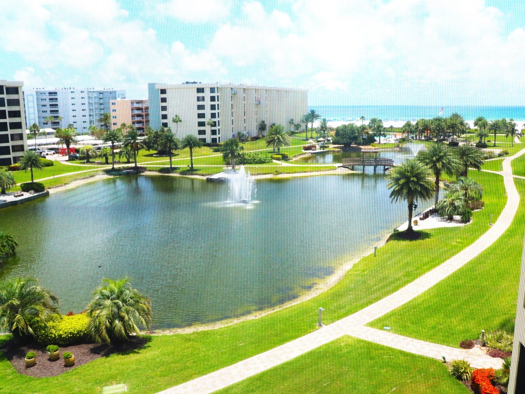 Close to the beach