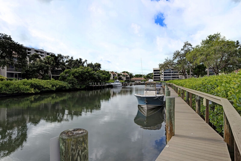 image_155518155