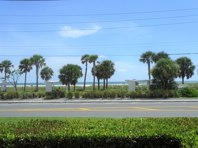Tropical Views
