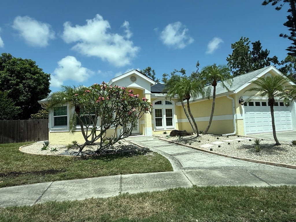 Casa Mango - Front yard