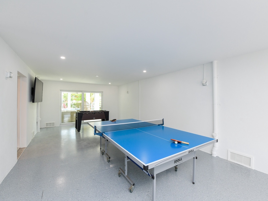 Ping Pong Table
