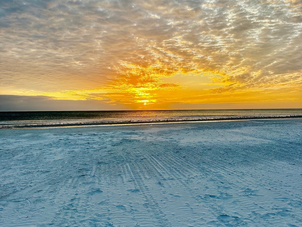 t54 beach
