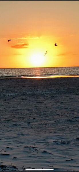 Close to the Beach