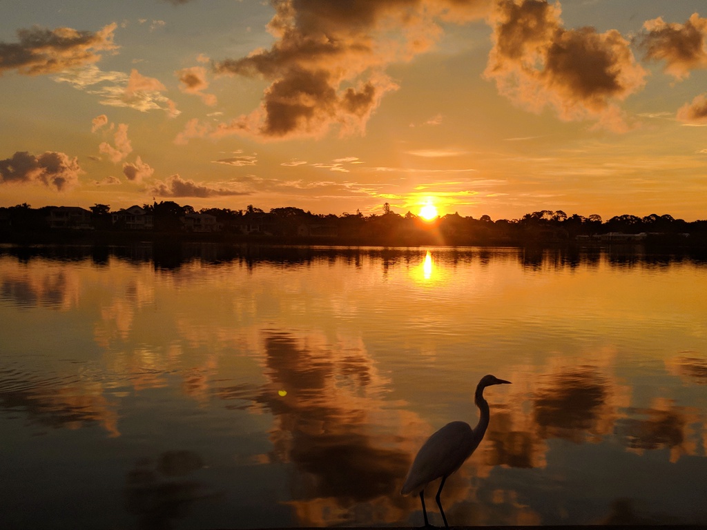 Golden sunset over tranquil lakefront setting where a graceful heron completes this picturesque natural scene near the property.