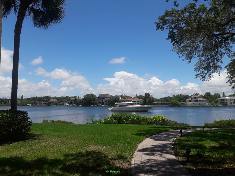 image_155514762