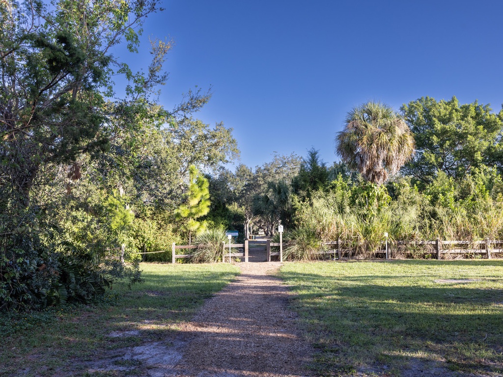 Close to Phillippi Park
