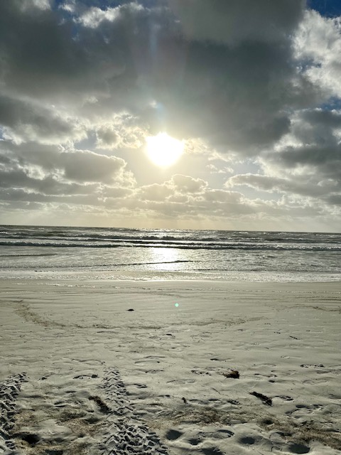 COVE II #911 PHOTOS (40)