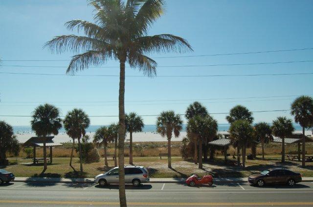 Tropical Views from Condo