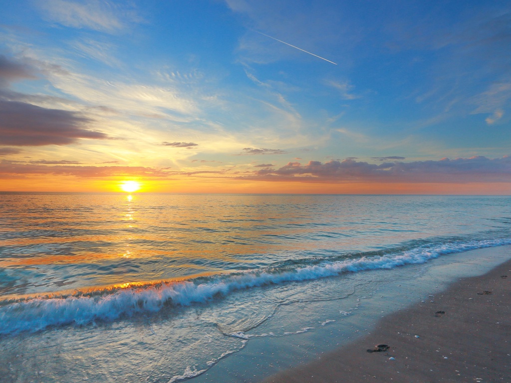 The Shaded Sanctuary - Siesta Key Luxury Rental Properties