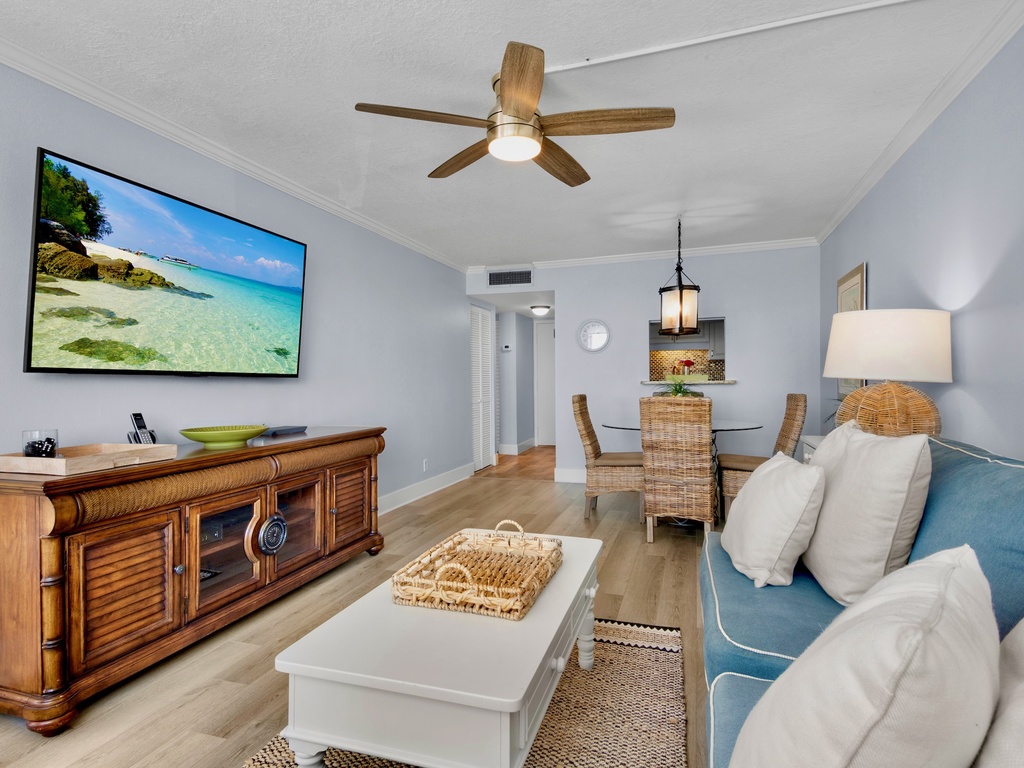 Living Area with TV
