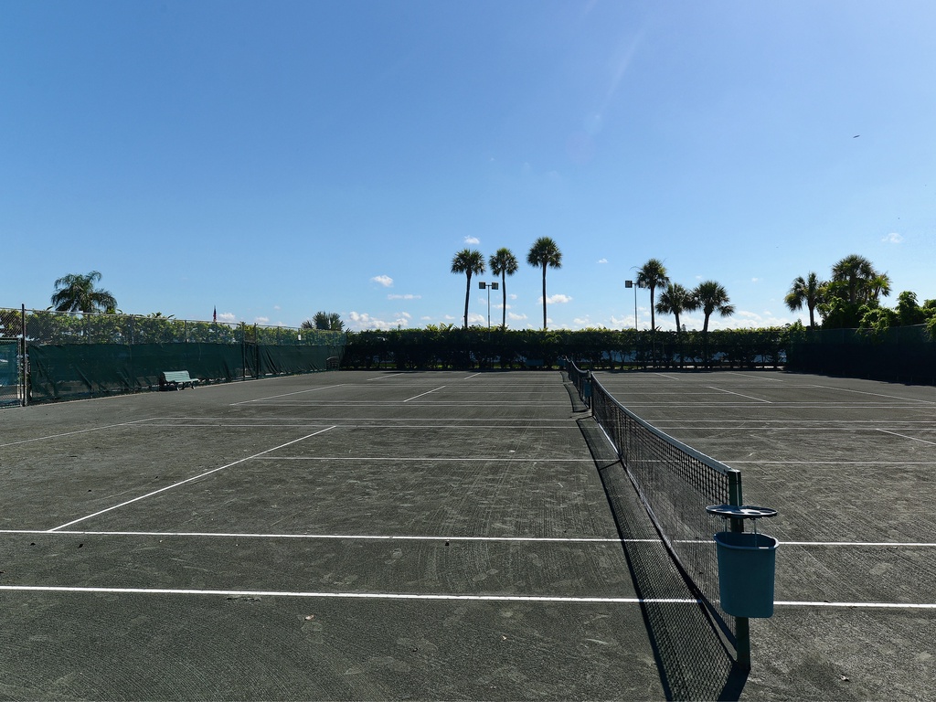Professional tennis courts surrounded by swaying palm trees under clear blue skies create the perfect tropical sports setting.