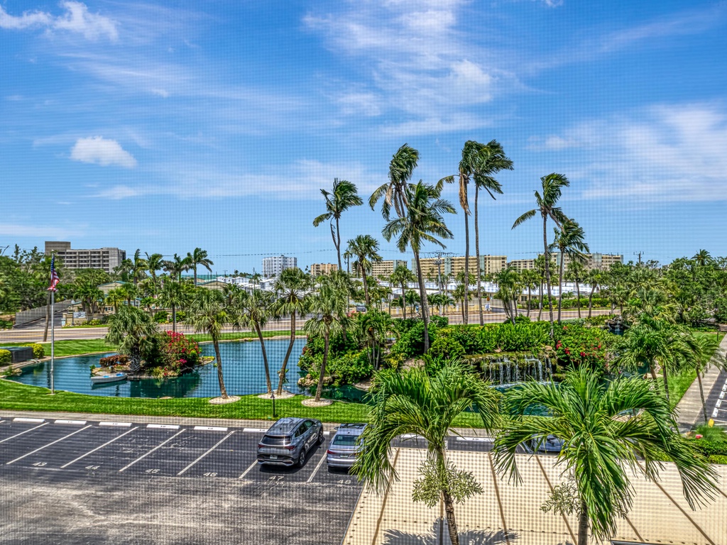 Tropical View